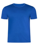 Koszulka Męska  Regular Premium