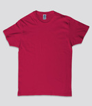 Koszulka Męska Regular Premium